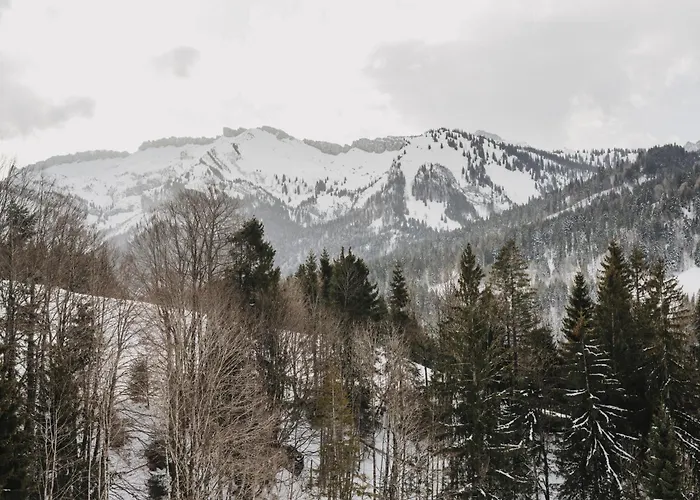 Apartment Halwina Hideaway *